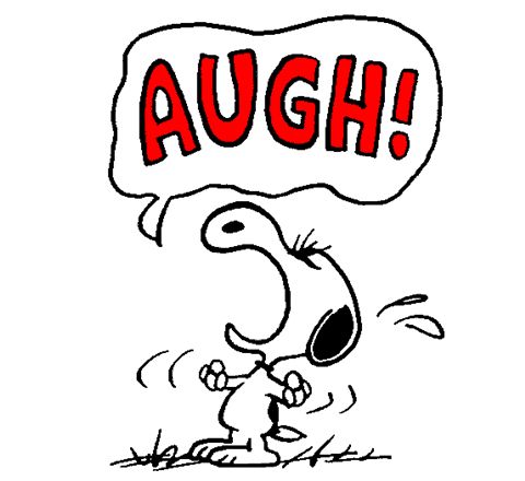 errorsnoopypic2